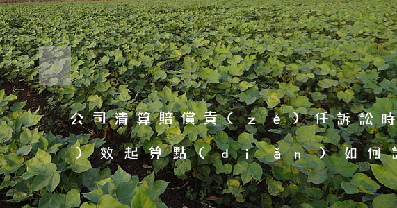 公司清算賠償責(zé)任訴訟時(shí)效起算點(diǎn)如何認(rèn)定？